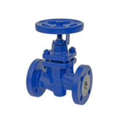 Globe Valves